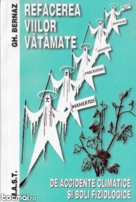 Refacerea viilor vatamate de accidente climatice si boli fiziologice | Autor: Gh. Bernaz