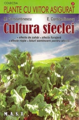 Cultura sfeclei (sfecla de zahar, sfecla furajera, sfecla rosie, loturi semincere pentru sfecla)