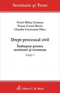 Drept procesual civil | Indreptar pentru seminare si examene