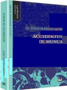 Accidentul de munca, 2014 | Autor: Ioan-Marius Aron